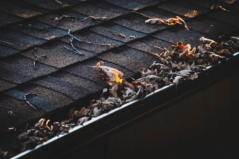 Gutter Failure: How to Prevent Gutter Clogs