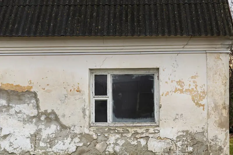 Say Goodbye to Algae and Mildew with These Siding Tips