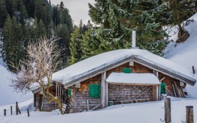 What to Know about Snow and Your Roof