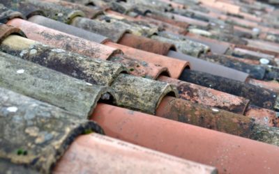 7 Signs of Roof Damage You Shouldn’t Ignore
