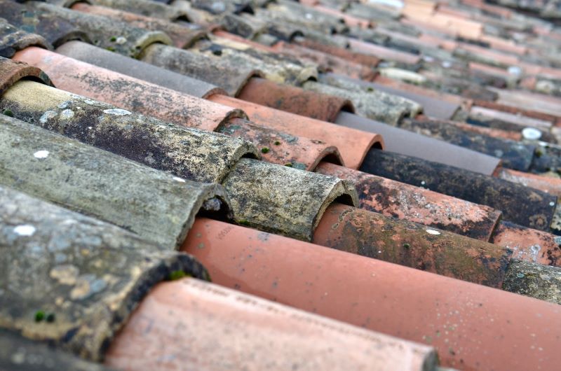 7 Signs of Roof Damage You Shouldn’t Ignore
