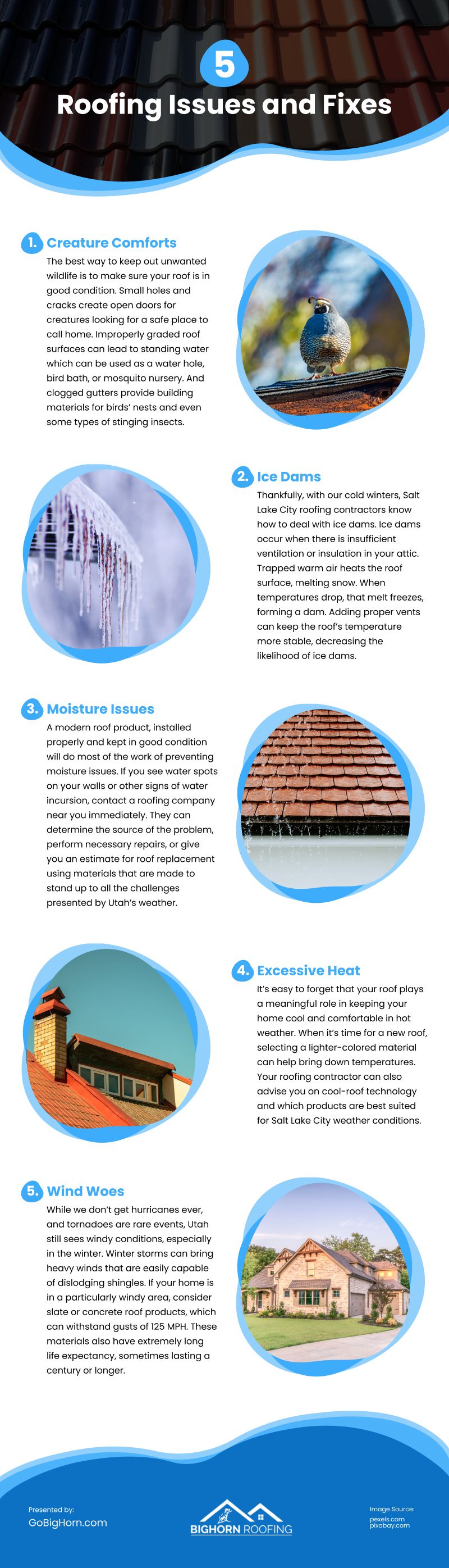 5 Roofing Issues and Fixes Infographic
