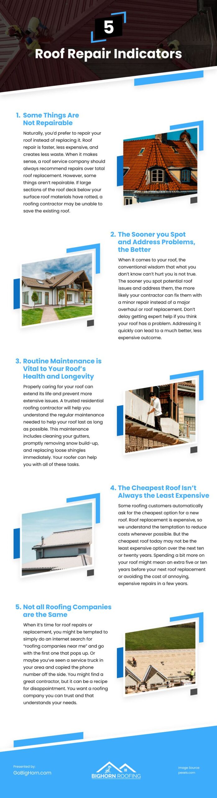 5 Roof Repair Indicators Infographic