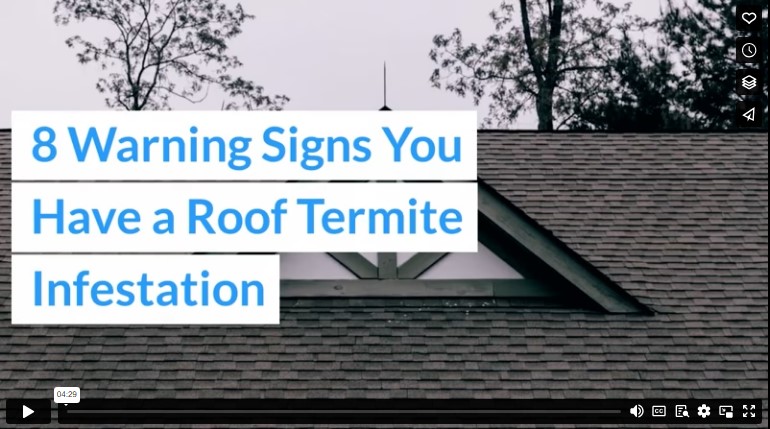 8 Warning Signs You Have a Roof Termite Infestation