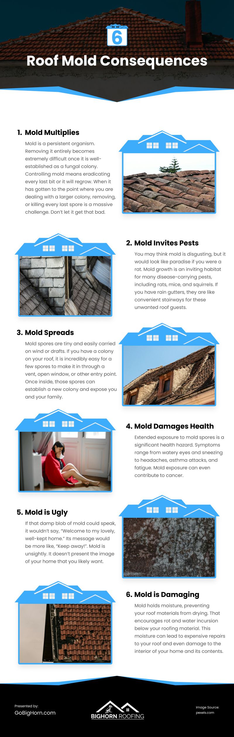 6 Roof Mold Consequences Infographic