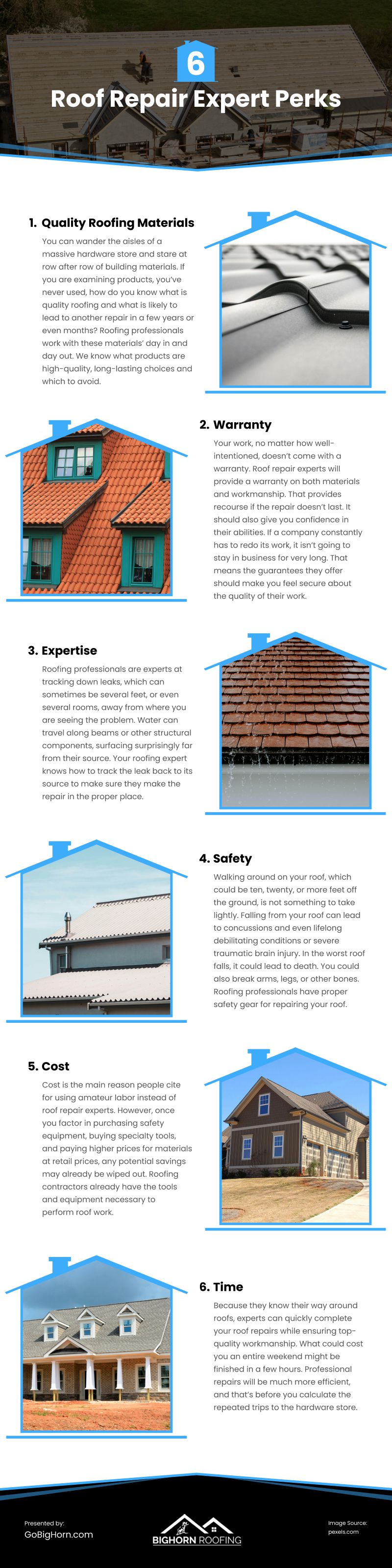 6 Roof Repair Expert Perks Infographic