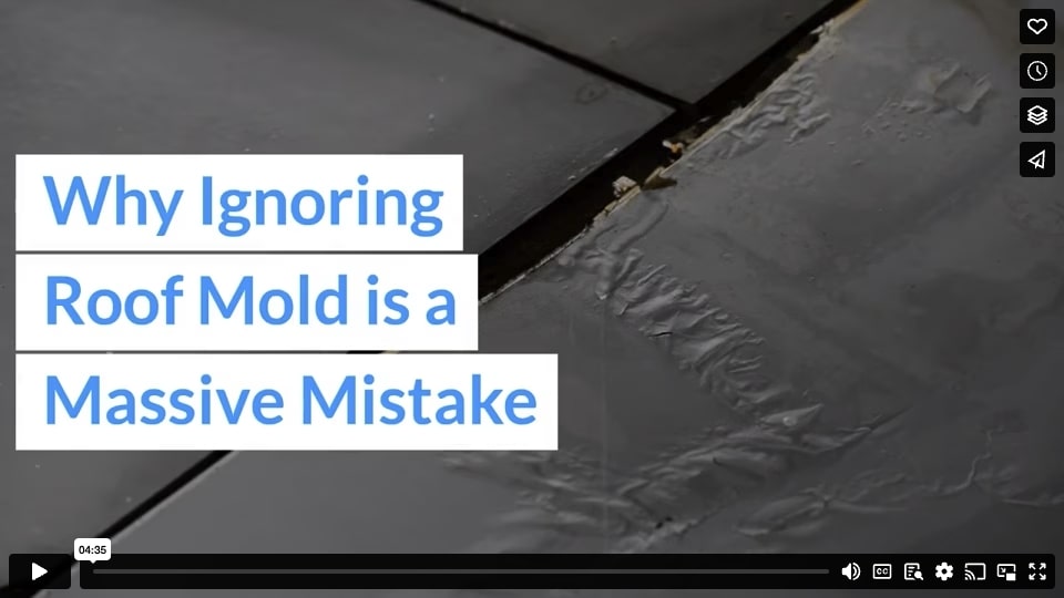 Why Ignoring Roof Mold is a Massive Mistake