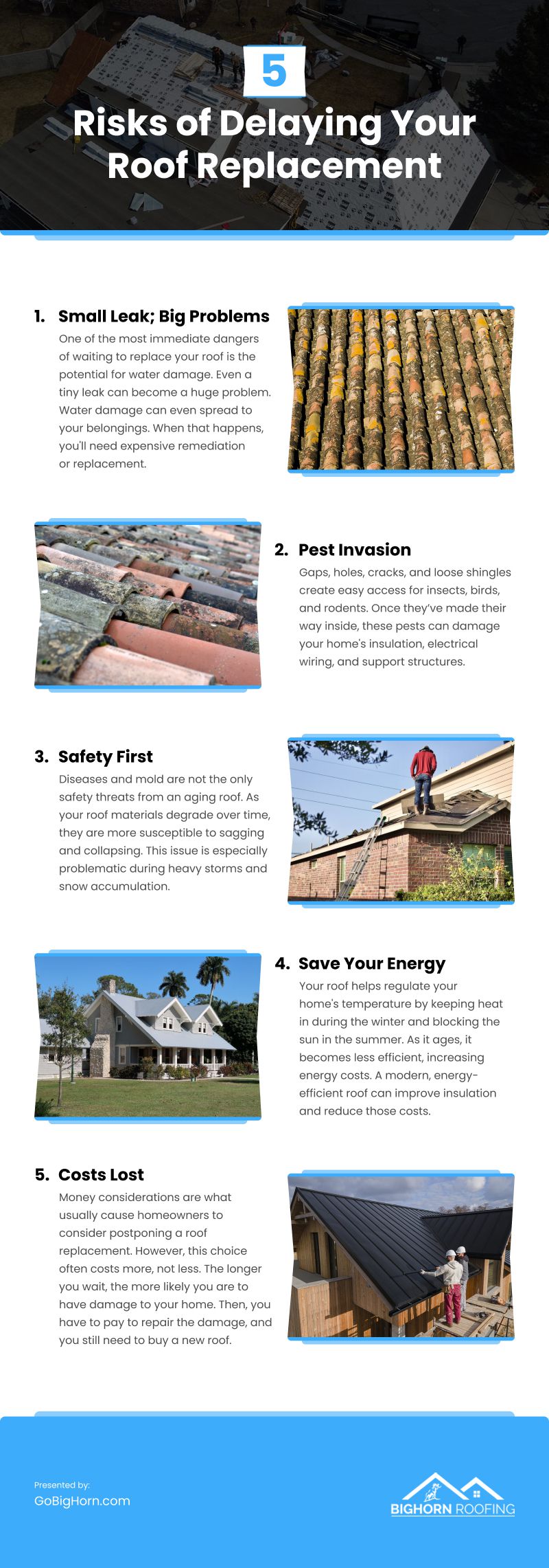 5 Risks of Delaying Your Roof Replacement Infographic